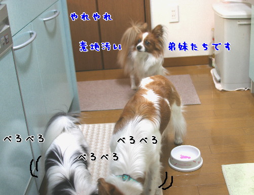 d0013149_1493967.jpg
