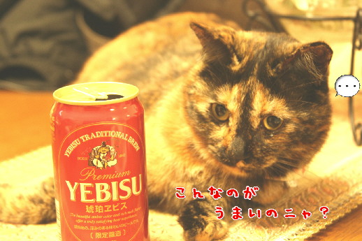 d0013149_1555626.jpg