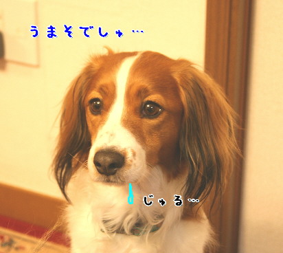 d0013149_213586.jpg