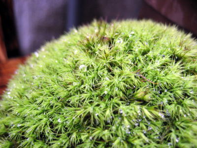 c0147952_22342260.jpg