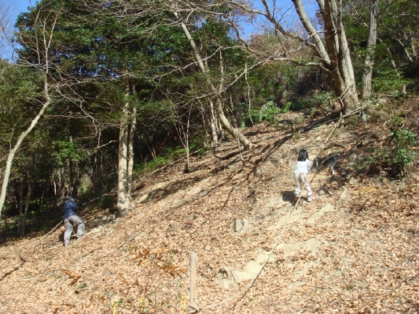 c0108460_16392487.jpg