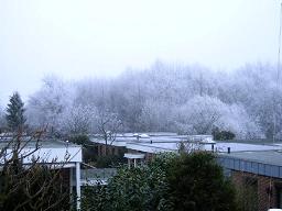 f0097363_1674811.jpg