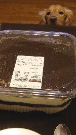 f0089568_2155239.jpg