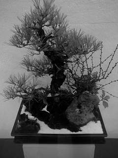 f0100480_1958403.jpg