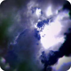 e0116383_2354447.jpg
