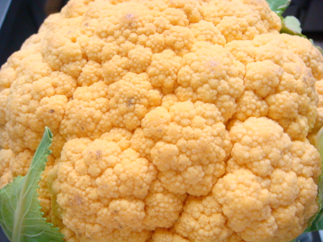 a0084885_8392546.jpg
