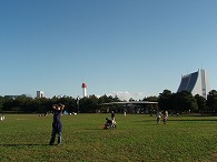 c0105785_9105738.jpg