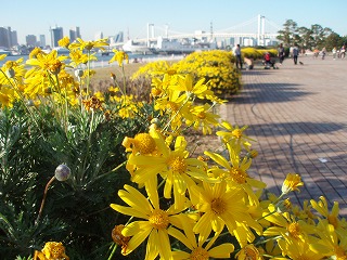 c0105785_9195673.jpg