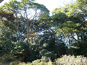 e0066586_7131130.jpg