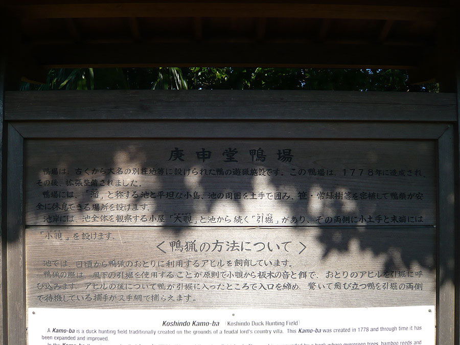 e0066586_7132865.jpg