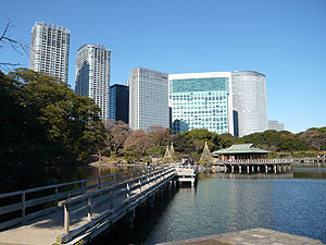e0066586_713637.jpg