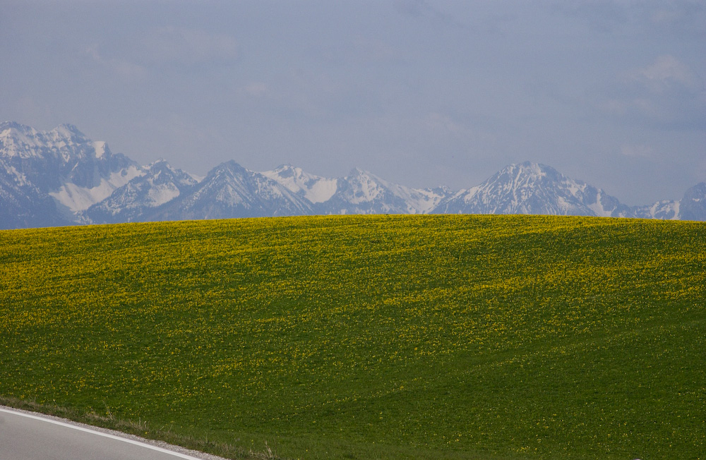 d0118588_192327.jpg