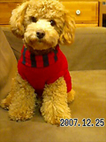 c0130389_23422575.jpg