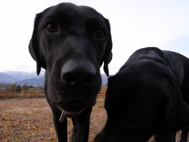 a0093592_7594019.jpg