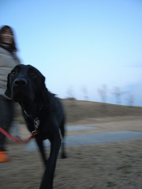 a0093592_831688.jpg