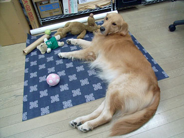 c0096393_224238100.jpg