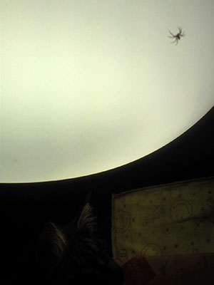 e0019594_12435783.jpg