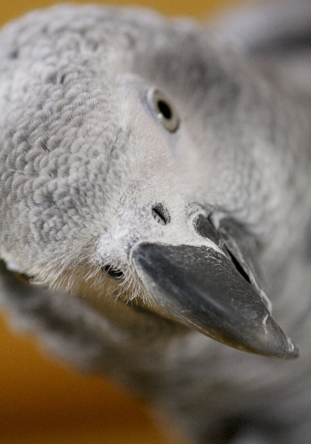 c0118496_21162012.jpg