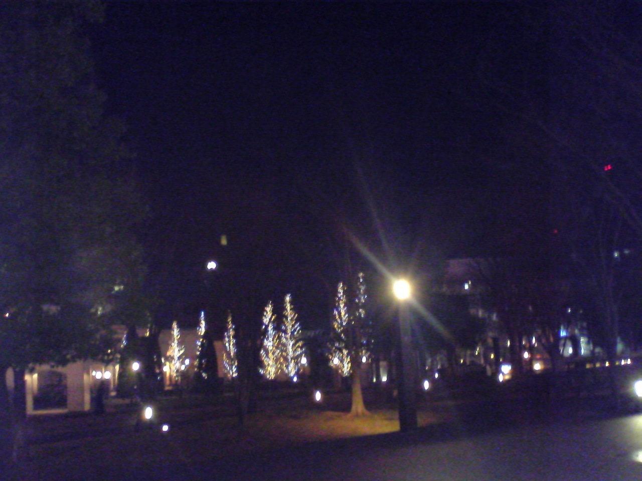 f0052603_2235406.jpg