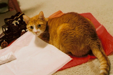 b0088205_1253372.jpg