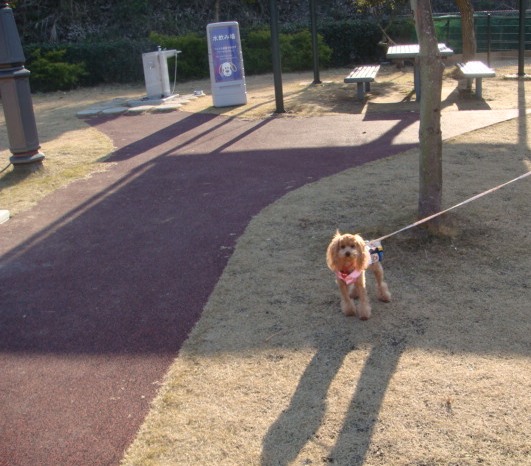 c0041207_11362930.jpg
