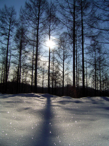 d0051707_7201495.jpg