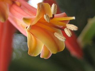 f0077807_1946711.jpg