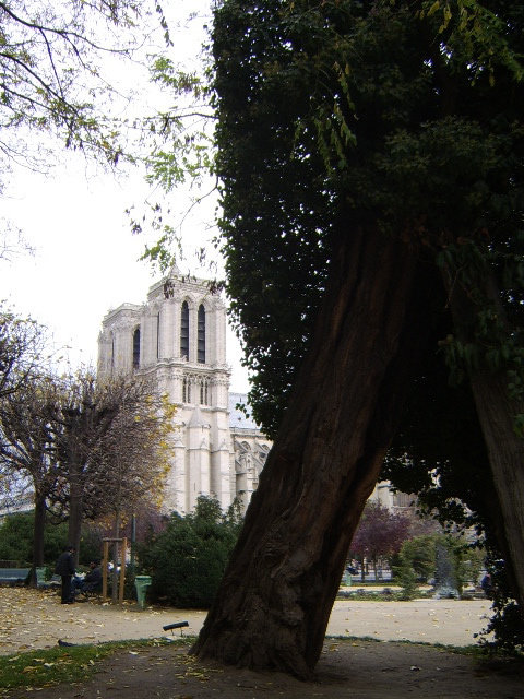 d0115609_17551229.jpg