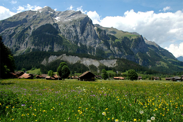 f0115214_958407.jpg
