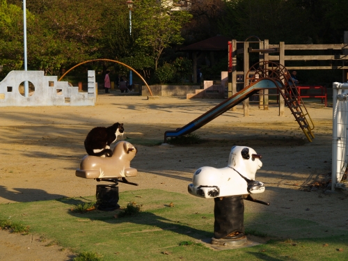 c0136217_13105716.jpg