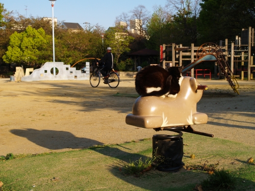 c0136217_1311152.jpg