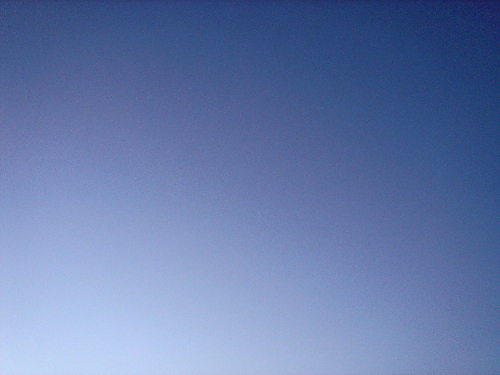 a0042120_2181485.jpg