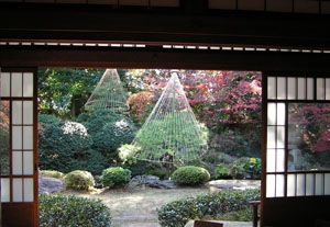 c0048023_794941.jpg