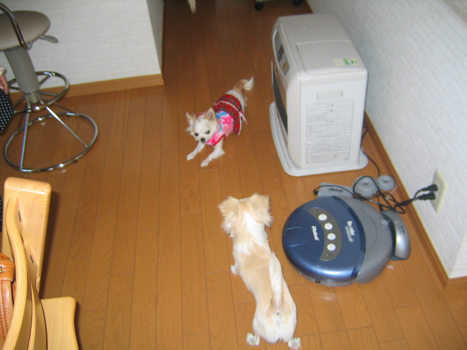 c0140230_9253977.jpg