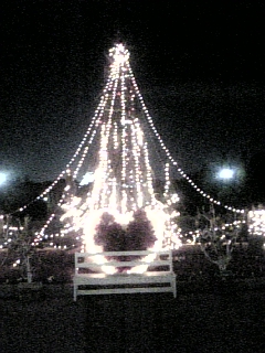 f0028132_0284766.jpg