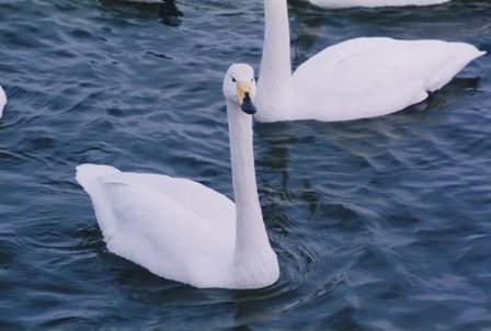 c0122445_23151773.jpg