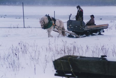 c0122445_2316154.jpg