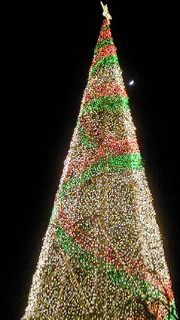 f0006348_13502578.jpg