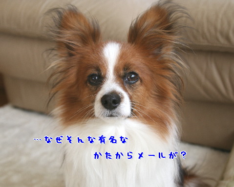 d0013149_221427.jpg