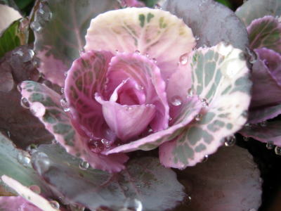 c0147952_22324255.jpg