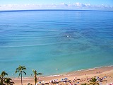 a0102153_7221190.jpg