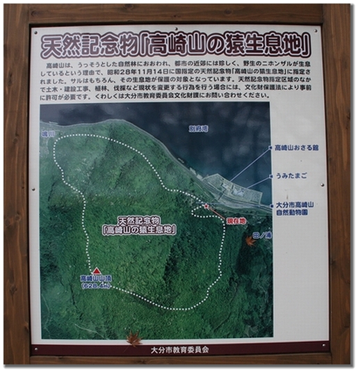 a0052156_20445956.jpg