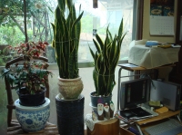 c0108460_1805337.jpg