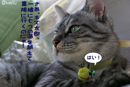 a0039366_1314532.jpg
