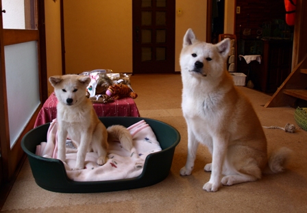 f0047870_12223281.jpg