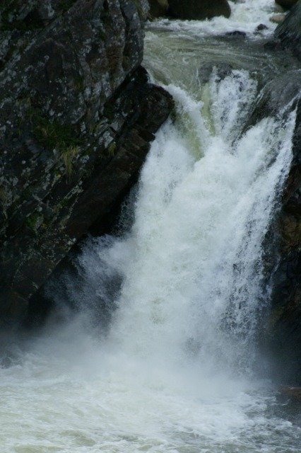 d0079278_20102542.jpg