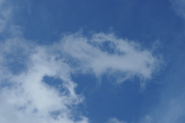 d0079278_20105619.jpg