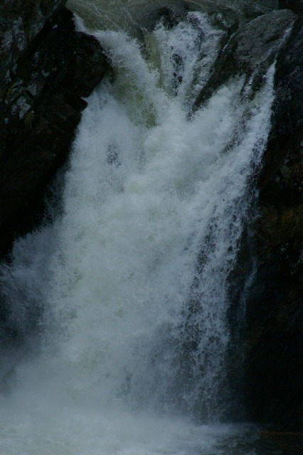 d0079278_2010656.jpg