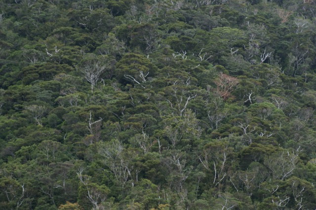 d0079278_20134756.jpg