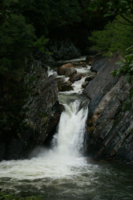 d0079278_209875.jpg
